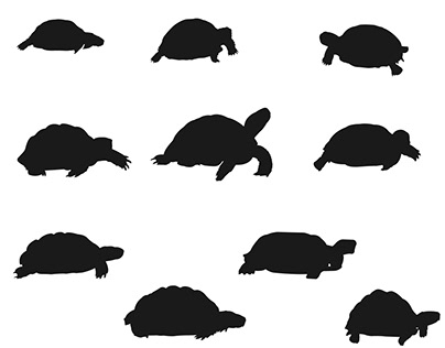 Tortoises silhouette vector