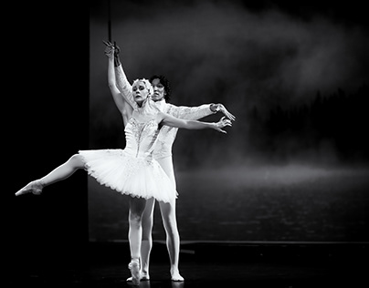 Project thumbnail - The Dying Swan