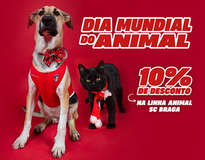 Dia Mundial do Animal | SC Braga