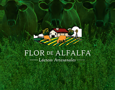 Flor de Alfalfa