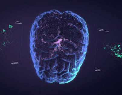 CARMEN Neuroscience platform