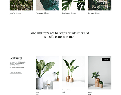 Project thumbnail - E- Commerce Website | Green Glow Grove