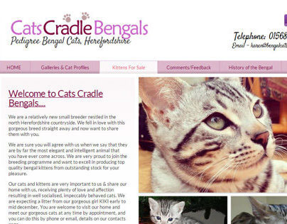 Cats Cradle Bengals