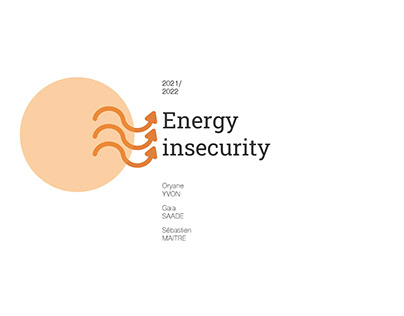 Energy Insecurity