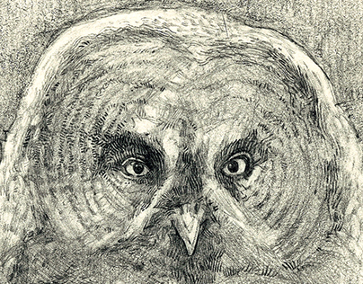 Just another Owl Sketch