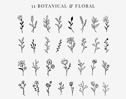 Botanical Floral Elegant Black Clipart Bundle Set