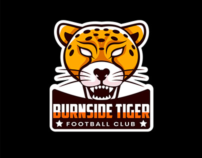 Football club logo.