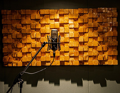Sound Sculpt Studios: Crafting Audio Masterpieces.