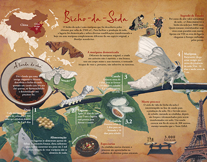 Infográfico sobre o Bicho-da-Seda