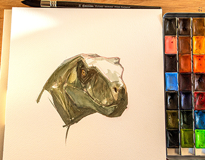 Raptor head in watercolor