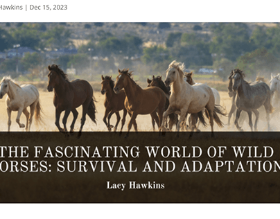 The Fascinating World of Wild Horses