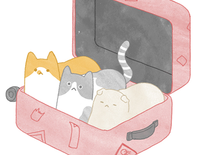 Cats in carrier