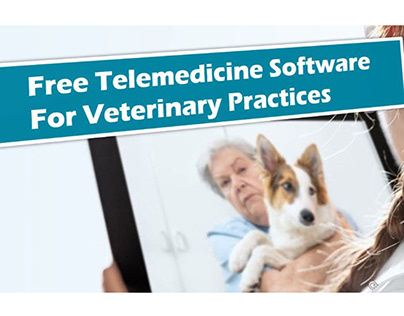 Free Veterinary Telemedicine App To Be Quarantine Ready