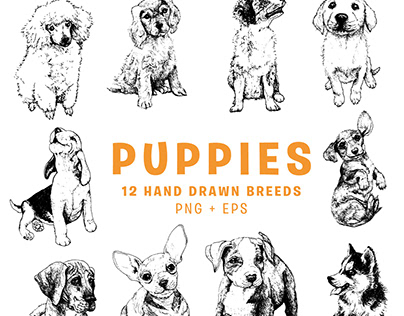 Hand Drawn Puppies