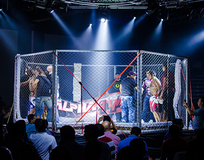 MMA in action | Artes Marciales Mixtas en acción