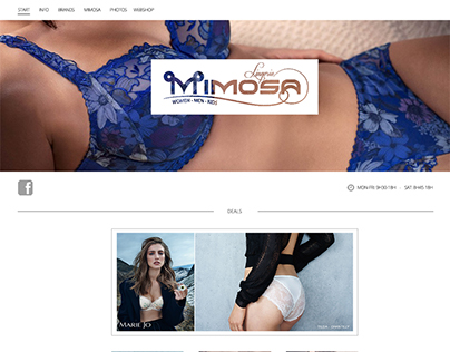 Mimosa - Clean webdesign