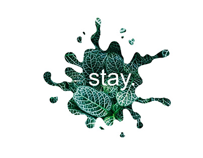 STAY.