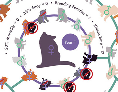 Infographic of One Cat: Unspayed