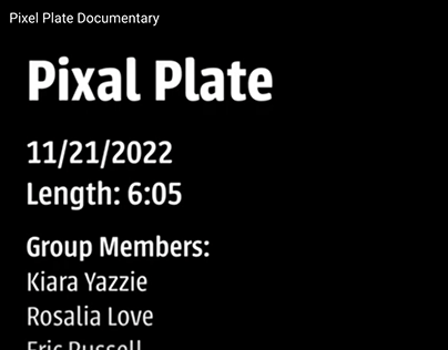 Pixel Plate Documentary