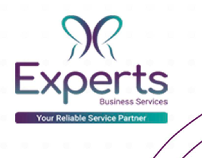 Reliable Experts project Tasks
