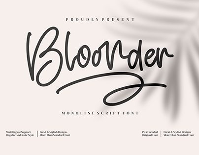 Bloonder- Monoline Script Font