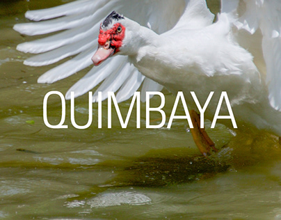Quimbaya
