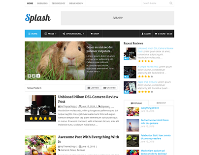 Splash WordPress Product Rating & Review Theme