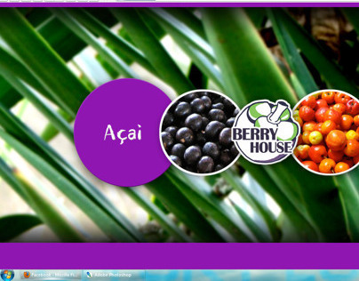 ACAI. Firm Style and Site.