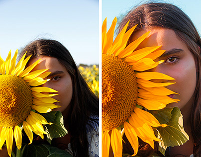 Sunflowers: Retoque fotográfico