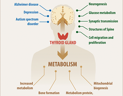 Thyroid Symptoms In Women Under 25
