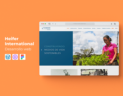 Heifer International Nicaragua - Desarrollo Web