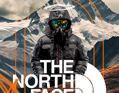 The north face posters