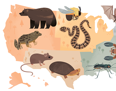 Endangered Species of the US