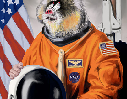 Baboon Astronaut