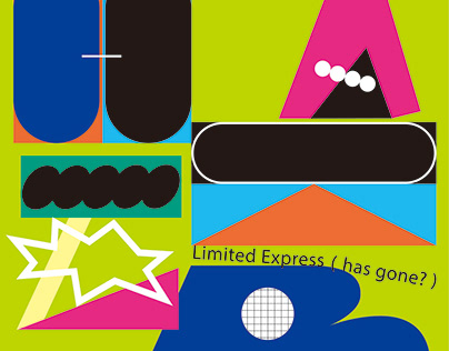 Limited Express(has gone?) - Degital Jacket