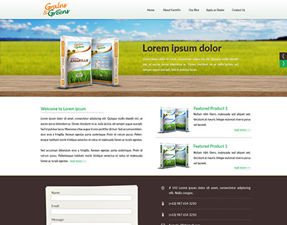 Rice Delivery Service Webdesign