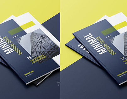 Study Abroad Brochure (Design)