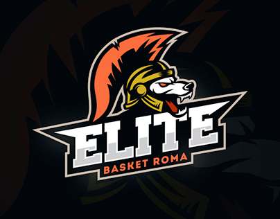 Basketball team logo concept