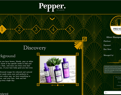 Pepper Studio Influencer Marketing Platform