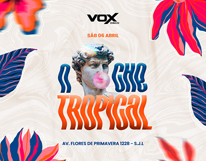Flyer Publicitario - Vox Disco.