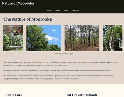 Nature of Moorooka - Website Design