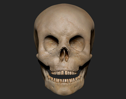 skull - Character design (sculpt & texture)