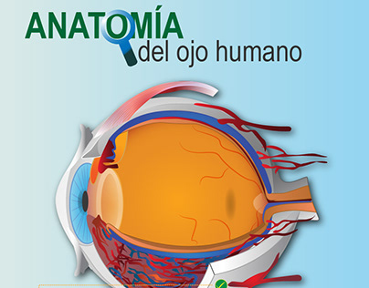 ilustración ojo humano