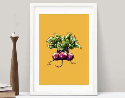 Farmhouse Vegetable Illustrations by Jesse Crystal