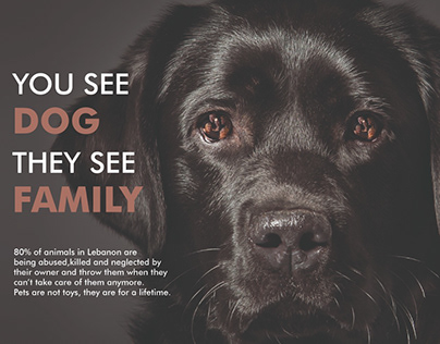 Animal Abuse Awareness Projects | Photos, videos, logos, illustrations and  branding on Behance