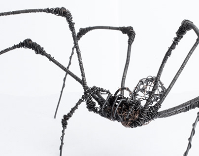 Wire Spider