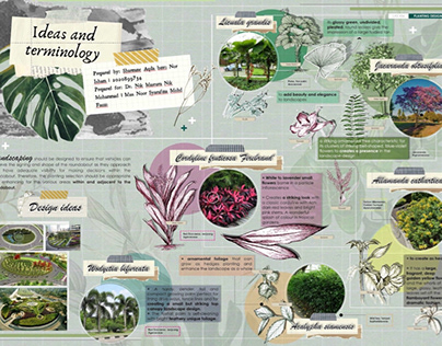 Plant Pallete: Ideas and Terminology