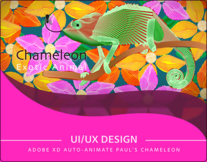 Adobe XD Chameleon Animation