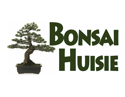 Bonsai Huisie Artwork