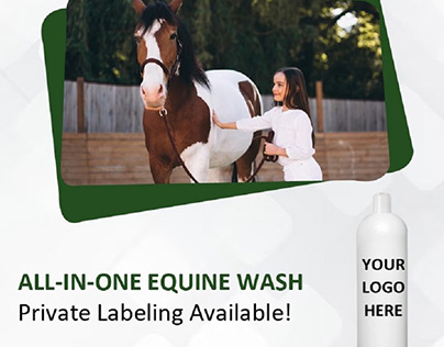 All-In-One Equine Wash